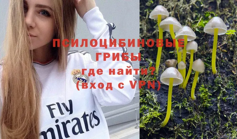 Псилоцибиновые грибы MAGIC MUSHROOMS  закладка  Малая Вишера 